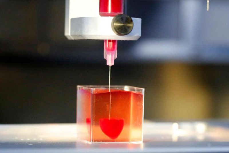 3D printed heart