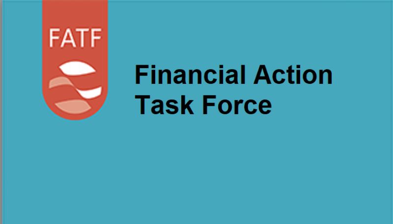 The Financial Action Task Force