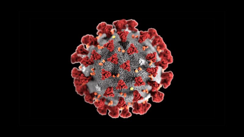 Coronavirus