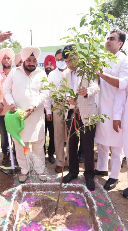 Dharamsot launches slew of projects on 71st Van Mahotsav