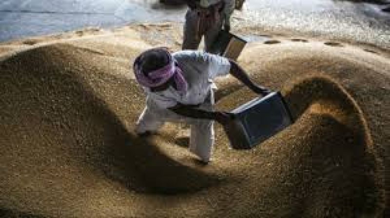 Diwali festival farmers