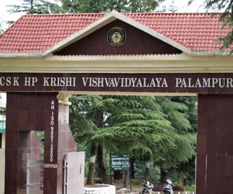 Agricultural University Palampur