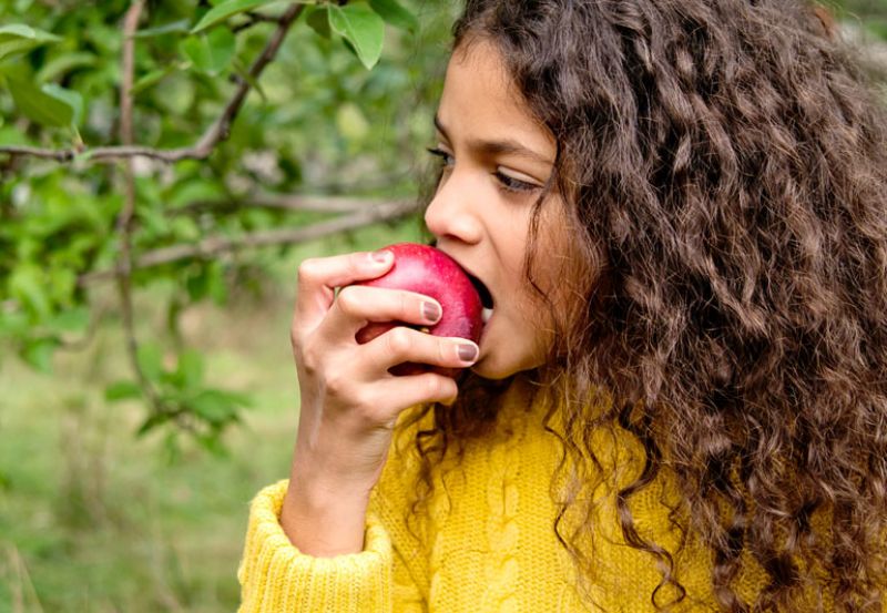 Eating apples with peels cures many diseases