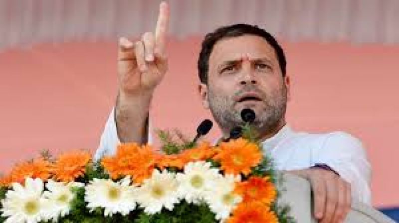 does not want  BJP free India: Rahul Gandhi
