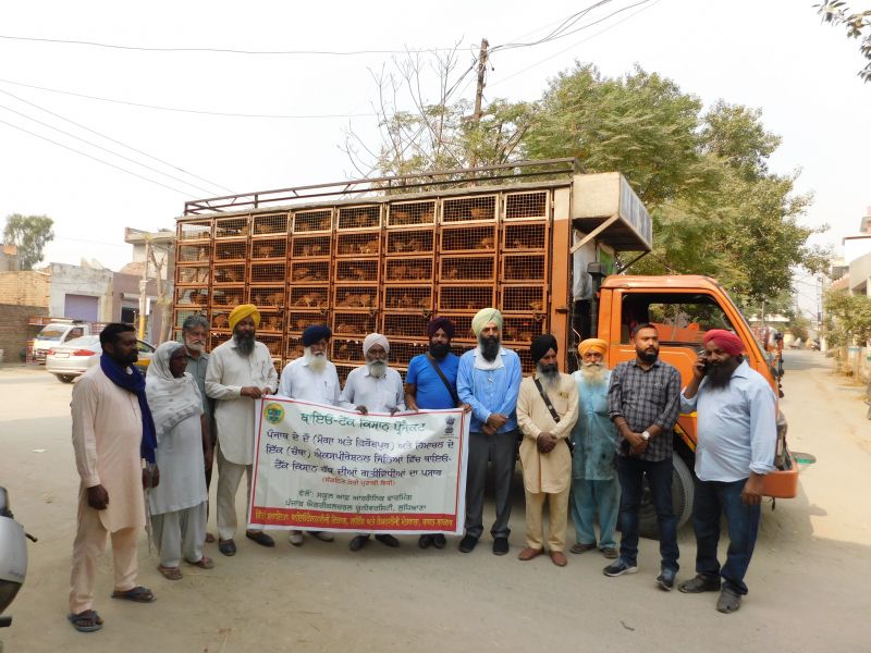  P.A.U. Launched Project on Joint Farming Management