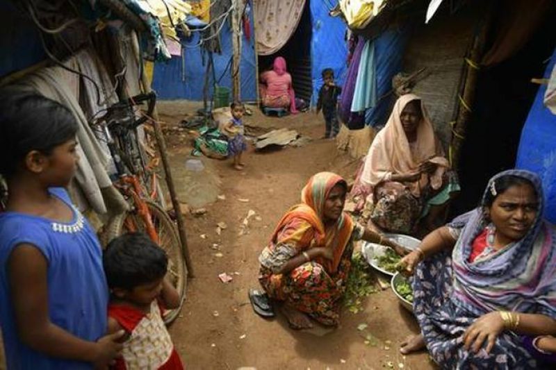 Biometric Data of Rohingya Refugees