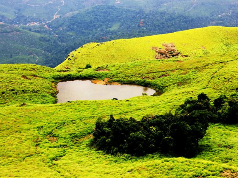 Wayanad