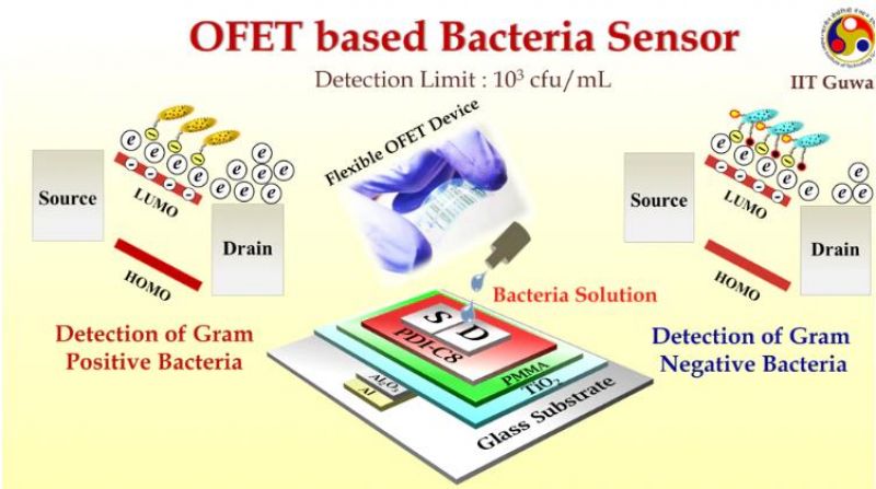 IIT Guwahati researchers develop device to detect bacteria