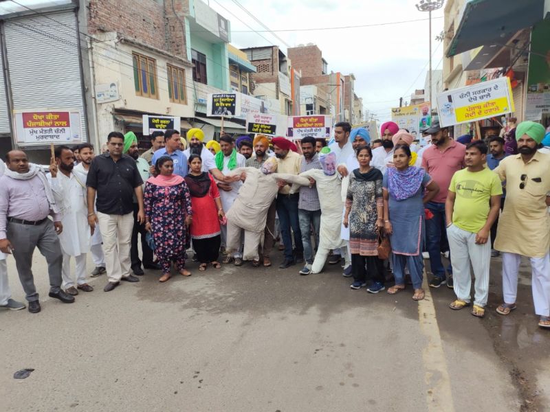 AAP burns effigies of Modi and Amit Shah across state