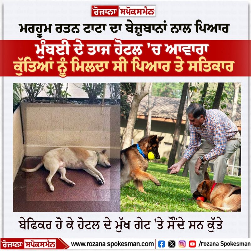 Ratan Tata dogs love News