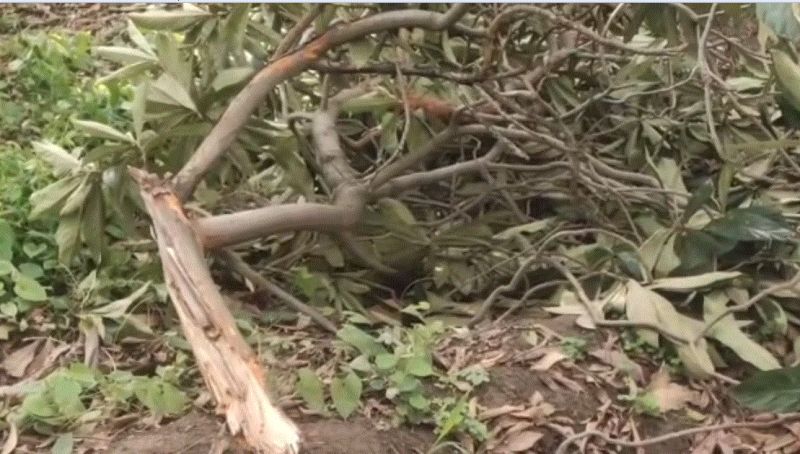 Strong winds and tornadoes cost millions