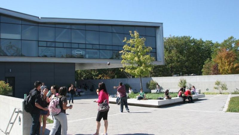 punjabi students in canada