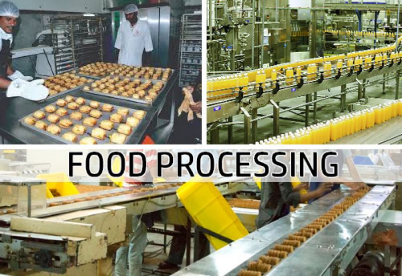 Food Processing Unit