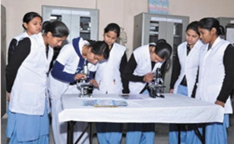 Multi Purpose Health Workers