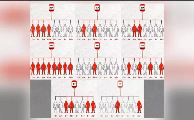 Govt shares blood group chart showing who can donate blood to whom