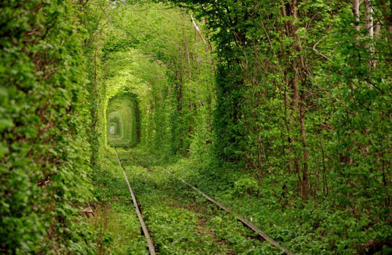 tunnel of love