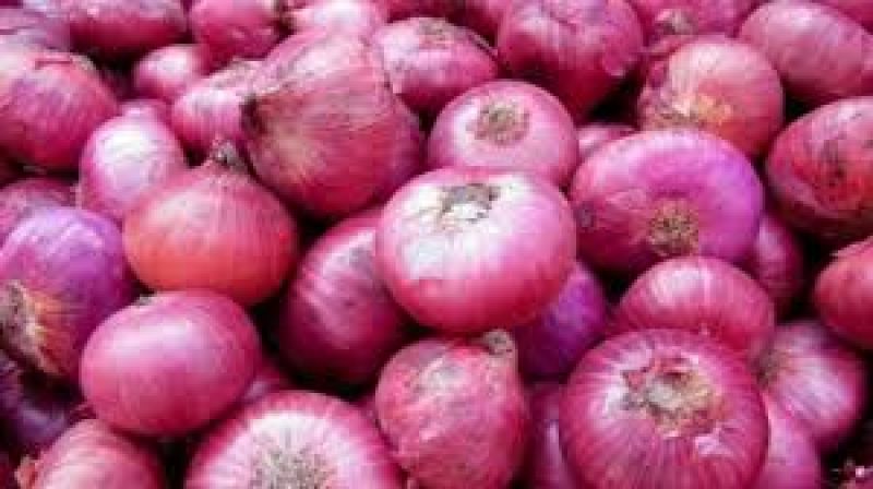 Onion tastes spoiled price reaches