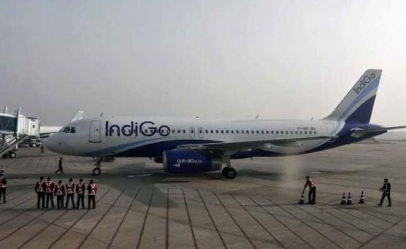 indigo airlines