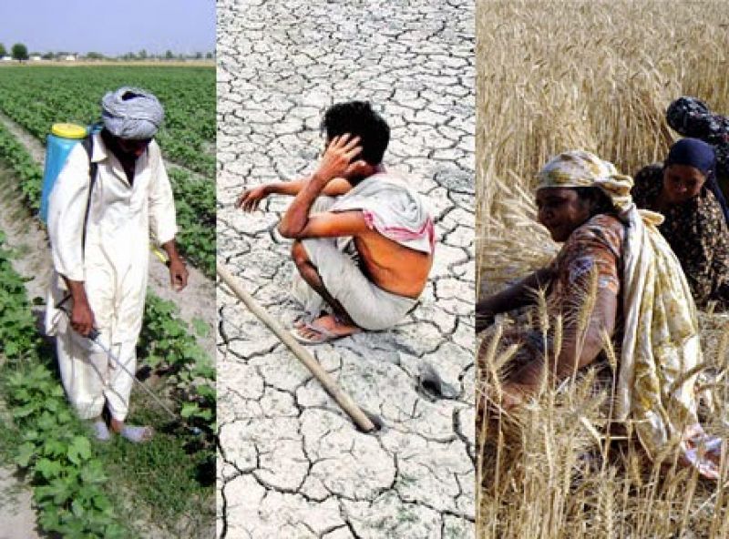 Need to have a solution of farmer's problems