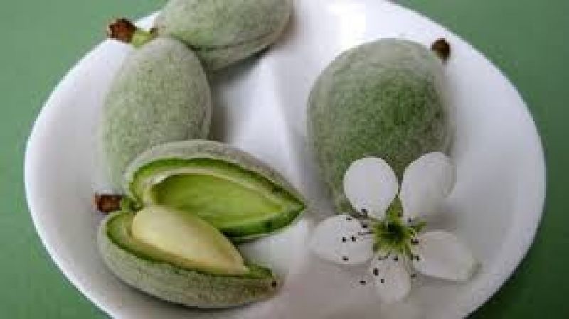 Green almonds helps in weight loss