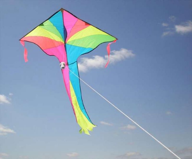 Basant Kite Festival