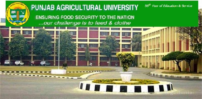 P.A.U. Jobs acquired by agricultural engineers