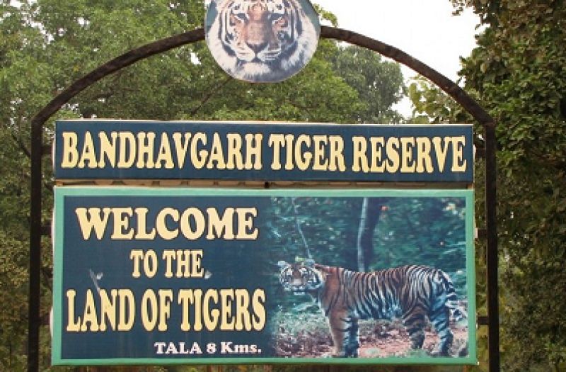 bandhavgarh national park