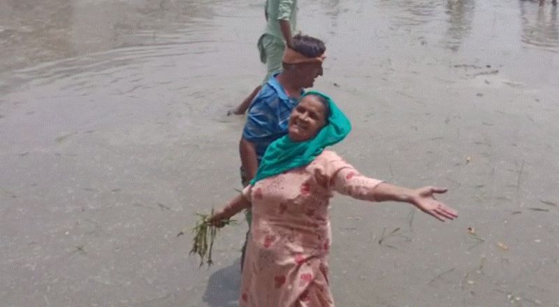 Farmers uproot paddy from BJP leader Harjeet Grewal's field