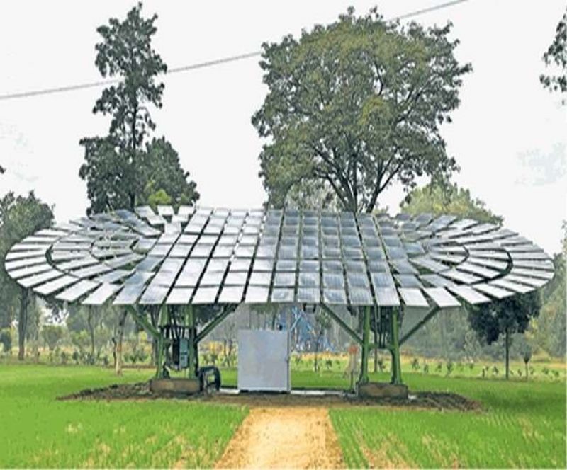 The world's largest solar tree built in Ludhiana