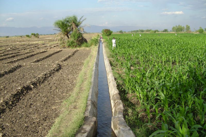 Punjab Irrigation 
