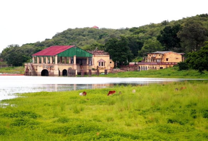 Madhav National Park