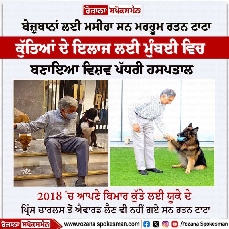 Ratan Tata dogs love News