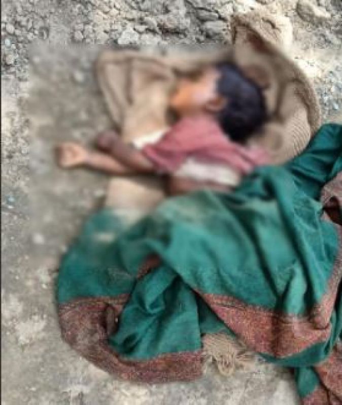 Faridkot one child dead 2 injured by stray dogs