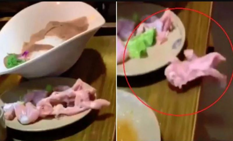 Raw meat crawl off customers plate 