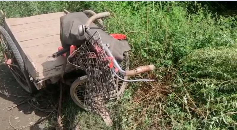 High-speed car hits rickshaw puller, kills grandparents, grandson