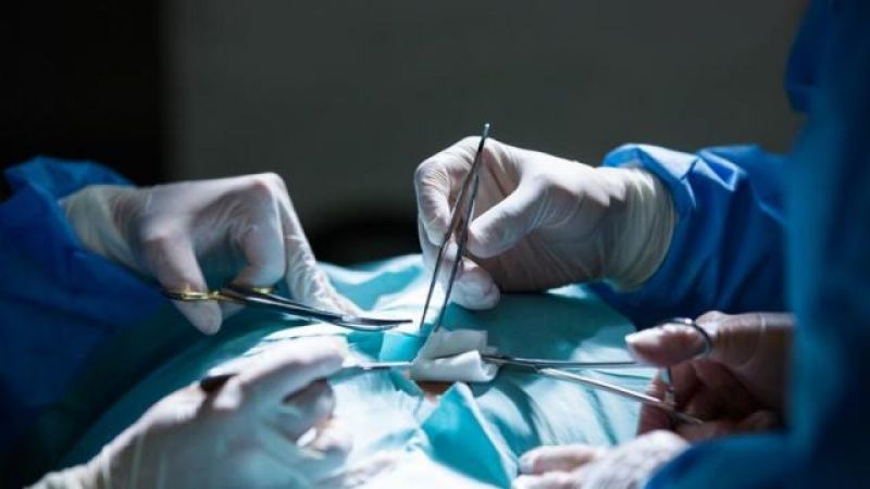 third heaviest kidney