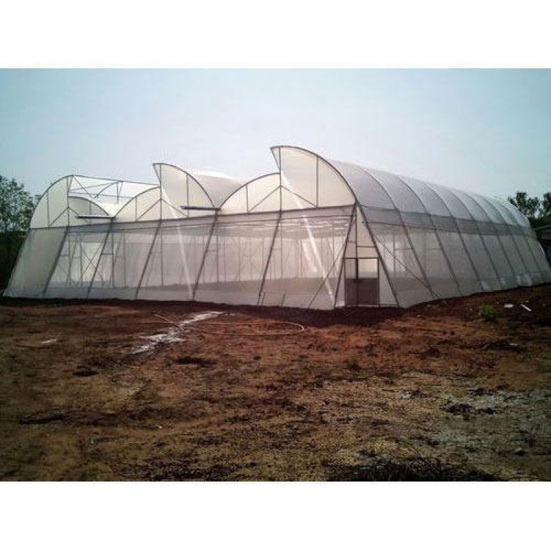 naturally ventilated polyhouse