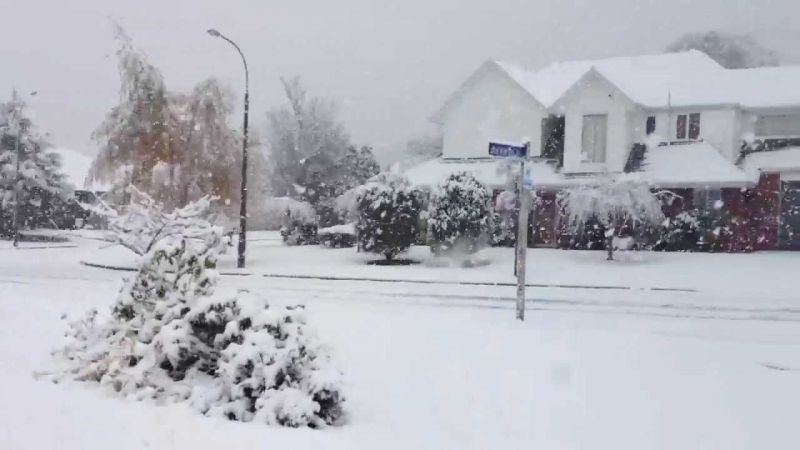 Heavy snowfall in New Zealand after 55 years