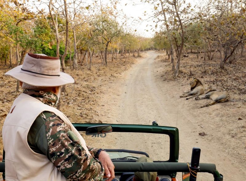 PM Narendra Modi visited Gir National Park in Gujarat