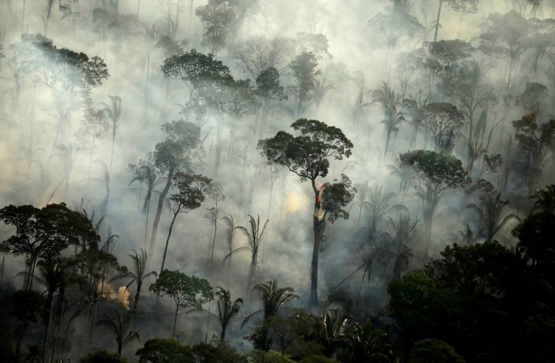 Fires in Brazil's Amazon up 28% in July