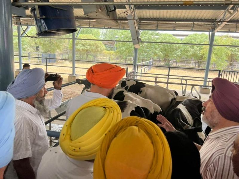 Kuldeep Singh Dhaliwal