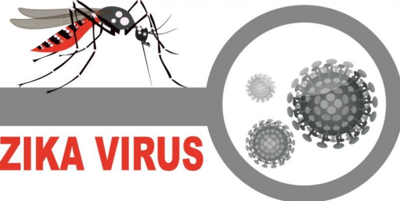 Zika Virus