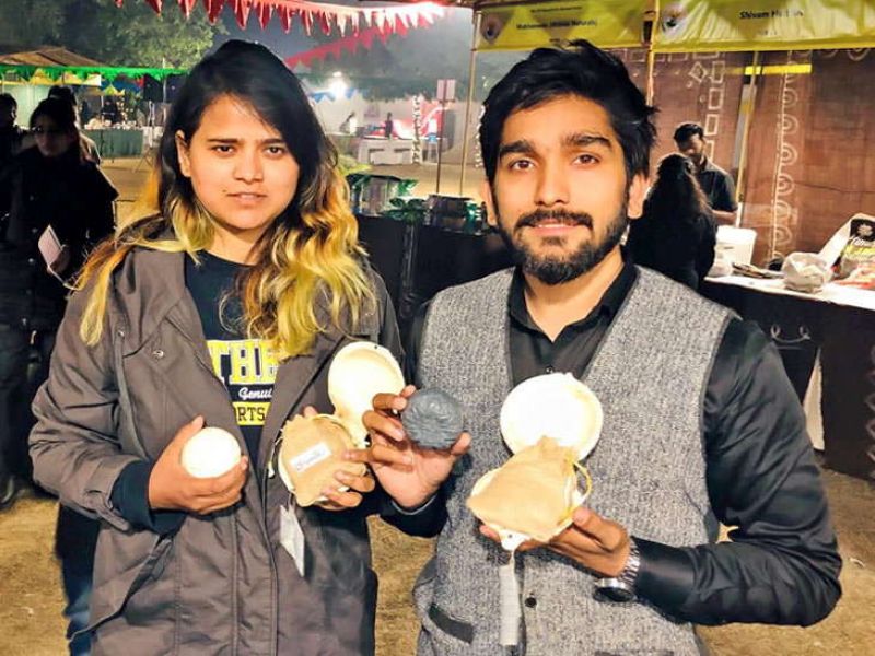 India Organic Festival, Chandigarh