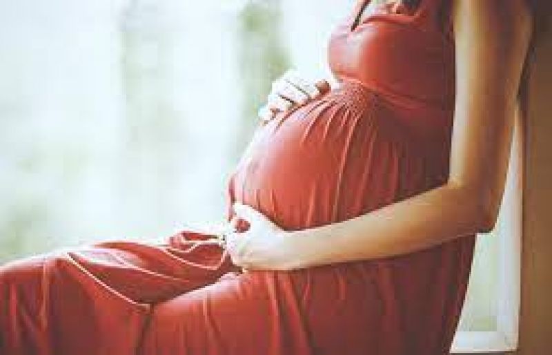 Punjab and Haryana High Court: Act does not envisage pact to adopt unborn child