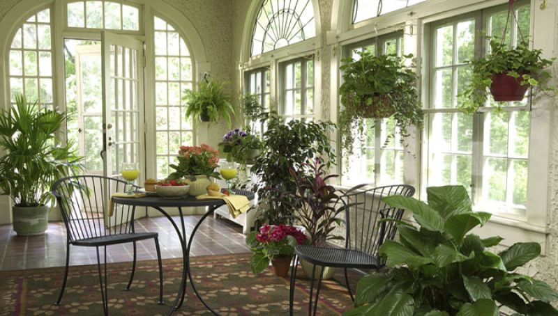 plants refresh house