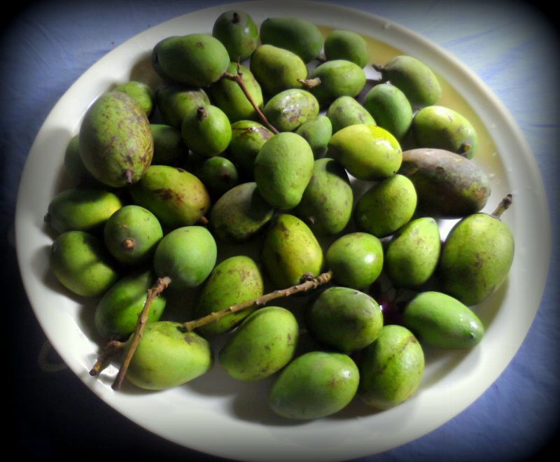 Raw Mango 