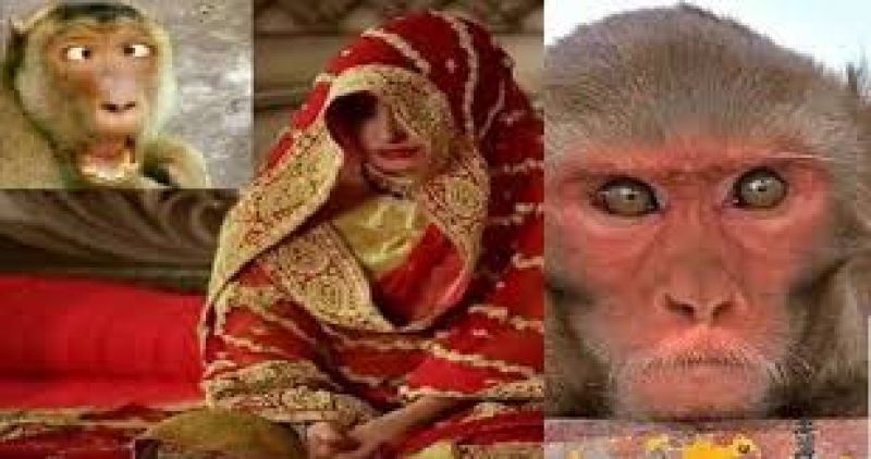 Ratanpur Bihar Monkey girl wedding