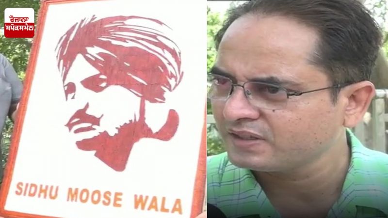 artist baljinder singh made sidhu moosewala's picture with toothpics