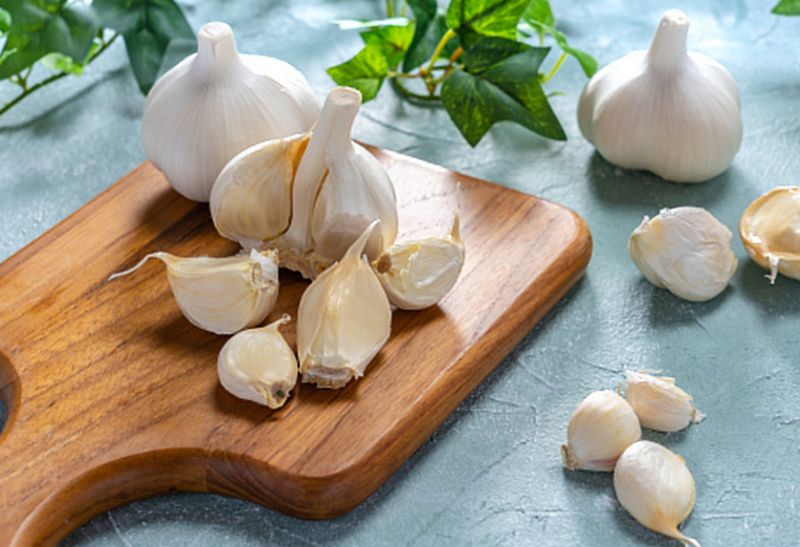 Garlic