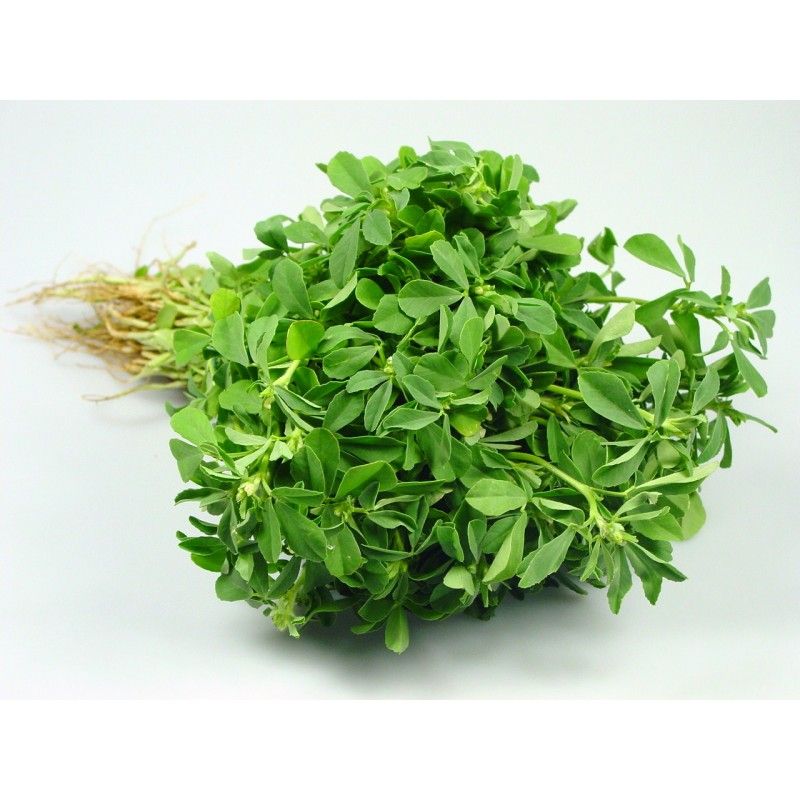 Methi